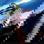 คุณยาหยี ปริศนา ปัญญาป้อ profile icon