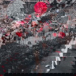 Mali Malisa profile icon