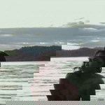 Cecille Rebancos profile icon