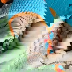 Yzah MAe Rodriguez - Ermita profile icon