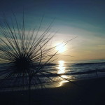 Trie AnTyie profile icon