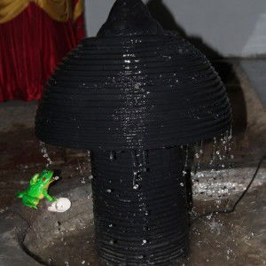 Nur Hafni profile icon