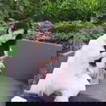 White-chocolate To-amornphan profile icon