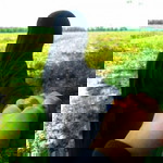 Fedri Hmpc profile icon