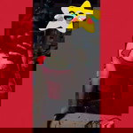 โอ้ เอ้ profile icon