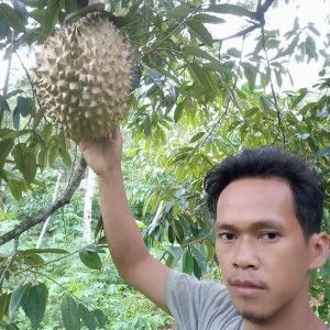 Rahmat Dwiyani profile icon