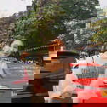 Da Phanidaa profile icon