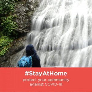 yatayashi profile icon