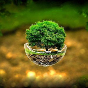 Salamah profile icon