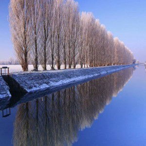 Naslin Husain profile icon