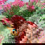 ขนม บูด profile icon