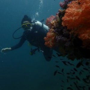 Pakinee  Oleynik profile icon