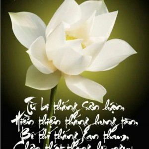 Hoa Tâm profile icon