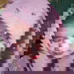 Pesek Endhel profile icon