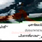 เหมือนฝัน ในวันที่เหนื่อยล้า profile icon