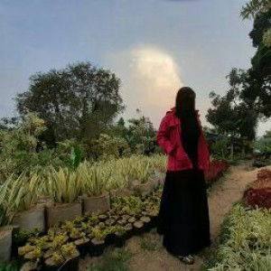 Dea Sheila Hyns profile icon