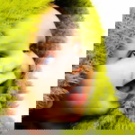 syaridah shafie profile icon