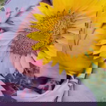 Desy Dellita profile icon