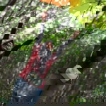 Nia Hindianna profile icon