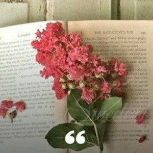 Effy Kurniawati profile icon