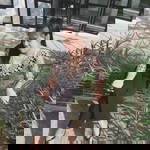 อ้อม แอ่ม profile icon