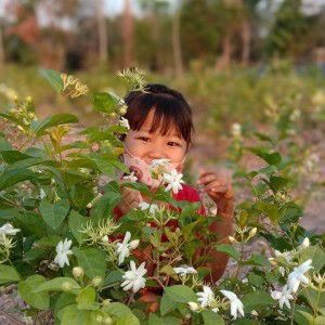 ป.ปลา ตากลม profile icon