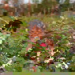 ป.ปลา ตากลม profile icon