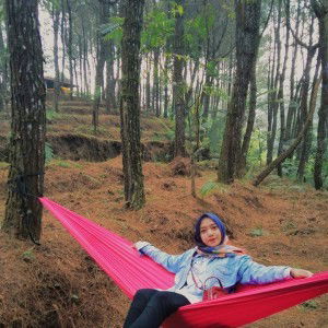 Siti Nurhamidah profile icon