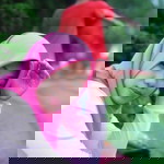 Raydha Alfaizhasheputry Nda profile icon