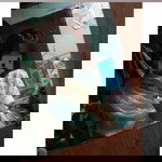 Phetpalrln Hannadong profile icon