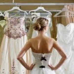 Freya Lovers profile icon