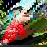 Saranya Promkwun profile icon