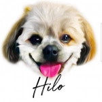 Patamaporn Phoolphol profile icon
