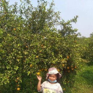 แมมมอส จัดส่ง ผักผลไม้ profile icon