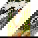 Monta Sroydokmai profile icon