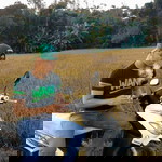 Abdullah Aliy Al-Fatih profile icon