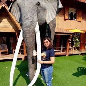 Numchok NP profile icon