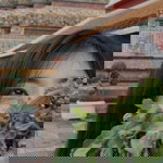 Yui Yangkhoi profile icon