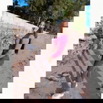 นับนุ้ย' อะจึ๋ย อะจึ๋ย profile icon