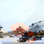 Teddy Teddyredbear profile icon