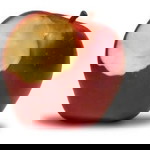 Lois Erestain profile icon