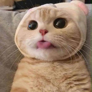 Aaliyn  Syan profile icon