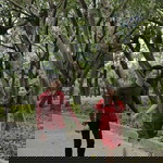 Kai Laurin profile icon