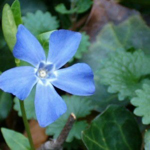 Mutmainah Mutmainah profile icon