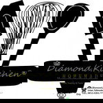 intan fulmadenti profile icon