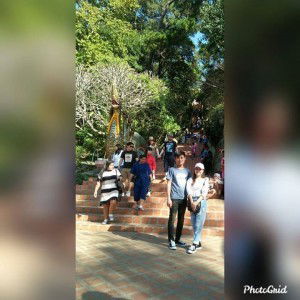 Kitty Pink profile icon