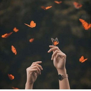 Azizah El-Marusy profile icon