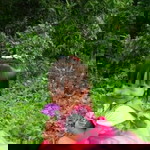 USi Zahra Nurasifa profile icon