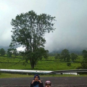 Siti Nuraisah profile icon