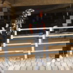 Piyy Kaa profile icon